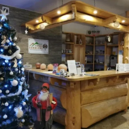 Stok Spa&wellness Pensjonat *